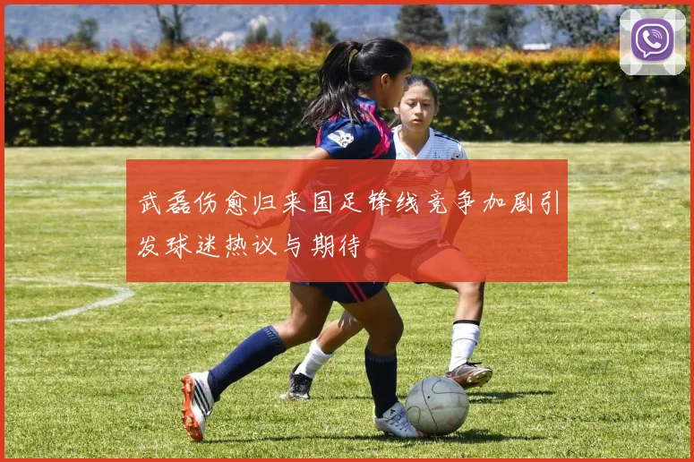 武磊伤愈归来国足锋线竞争加剧引发球迷热议与期待